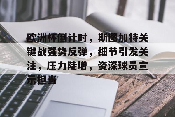 欧洲杯倒计时，斯图加特关键战强势反弹，细节引发关注，压力陡增，资深球员宣示担当的简单介绍