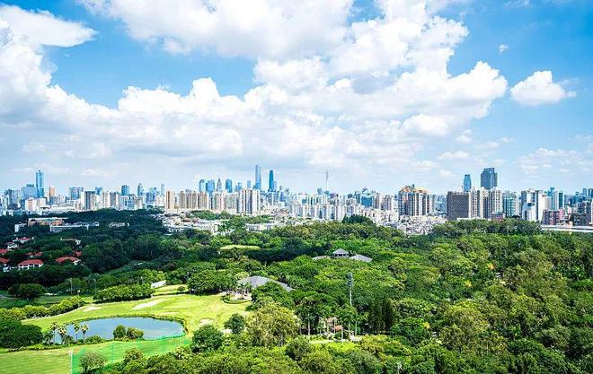 包含赛地聚焦：德甲赛前热度飙升，法兰克福调整名单，底气十足，数据趋势出现新变化的词条