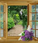 如何与西甲德甲等交流互动