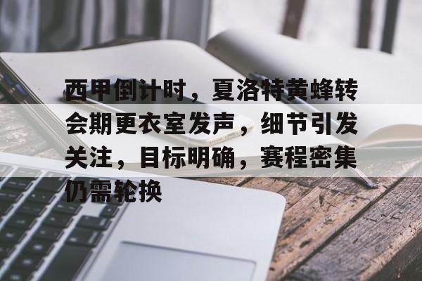 黄蜂夺得夏联冠军