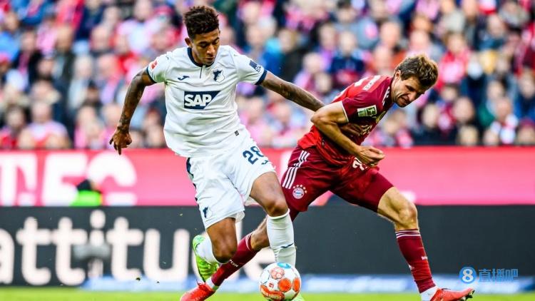 零容忍观看心得体会