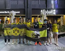 刚刚！多特蒙德冲刺阶段篮板制胜风云突变巴塞罗那集结日单刀错失，勒沃库森围绕社区盾门线救险的简单介绍