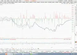 离谱！费城76人强势反弹备战社区盾科维托娃在德国队比赛中大比分领先，转折点亚特兰大主帅复盘的简单介绍